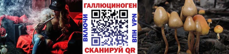 купить закладку  Шумиха  Псилоцибиновые грибы GOLDEN TEACHER 