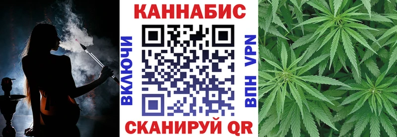 Канабис гибрид  блэк спрут   Шумиха  закладка 